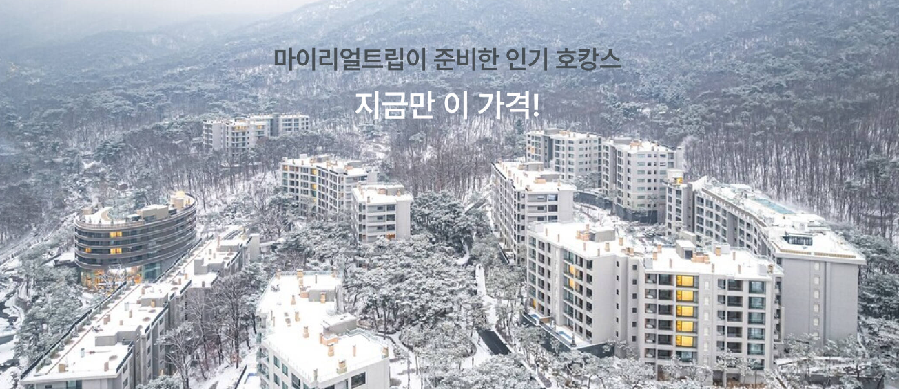 마이리얼트립 노마진 호텔 예약 후기 (호텔 특가 마진없이 최저가 할인예약)