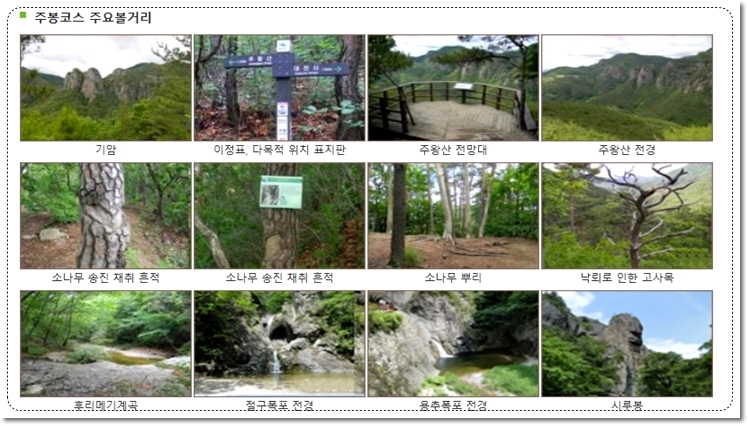 주왕산 최단코스 상의탐방지원센터 대전사 백련암 청련등 주왕산 주봉 정상 등산코스
