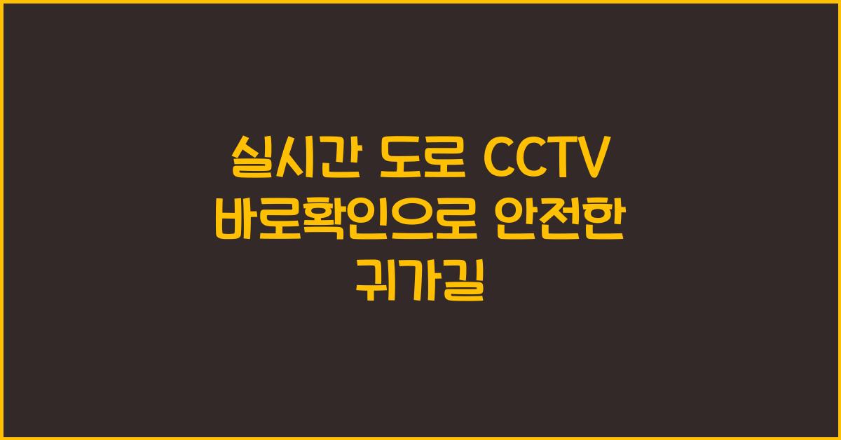 실시간 도로 cctv 바로확인