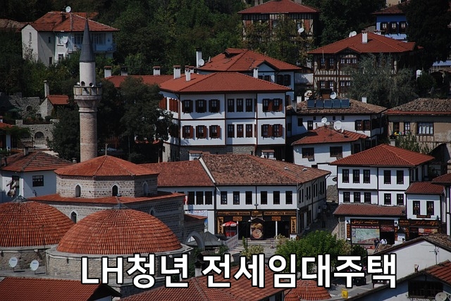 LH청년 전세임대주택