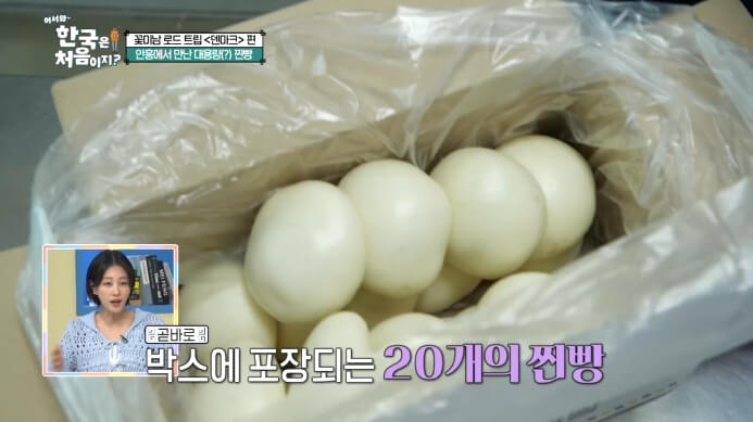 어서와-한국은-처음이지-덴마크편-찐빵