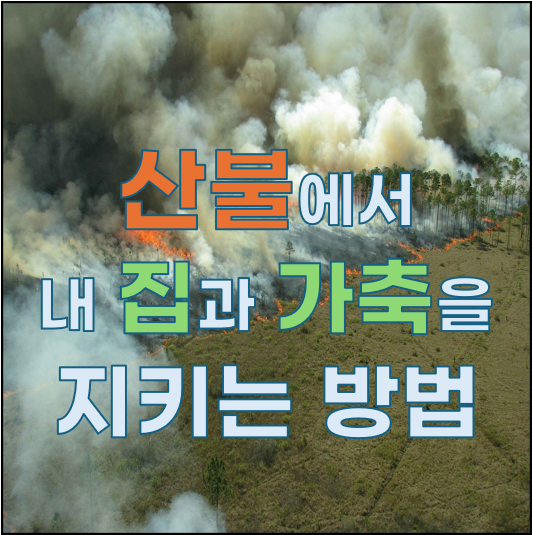 산불에서 내 집과 가축을 지키는 방법