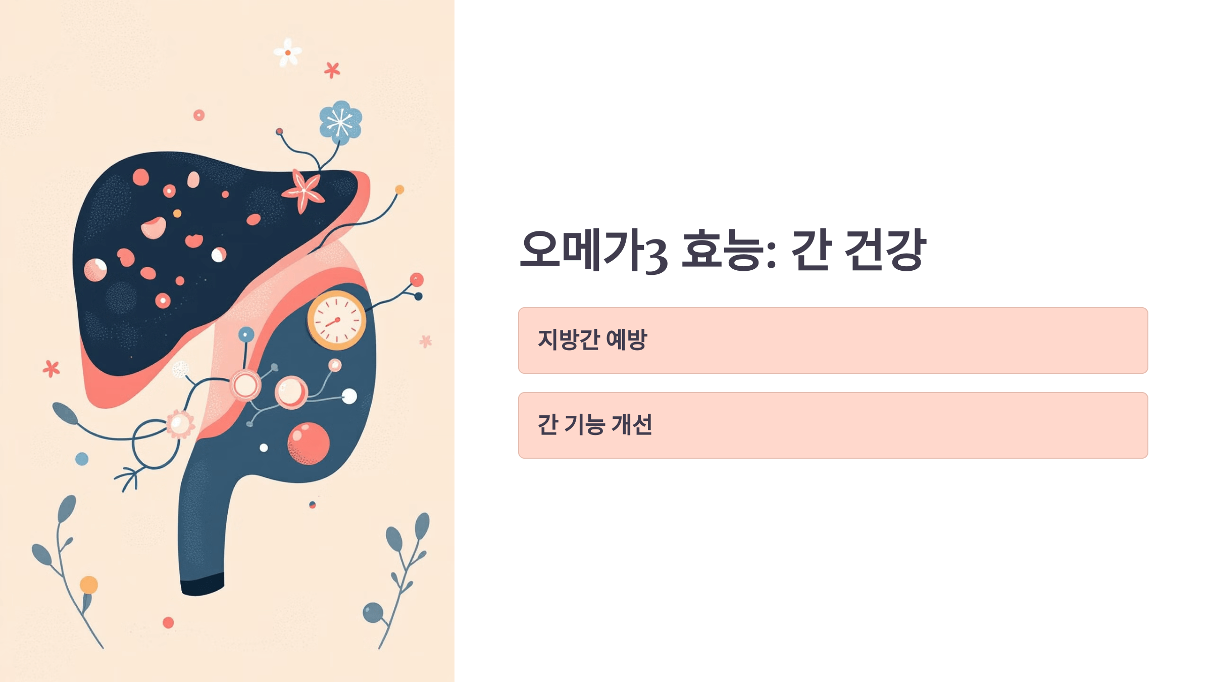 오메가3와 관련된 사진입니다.