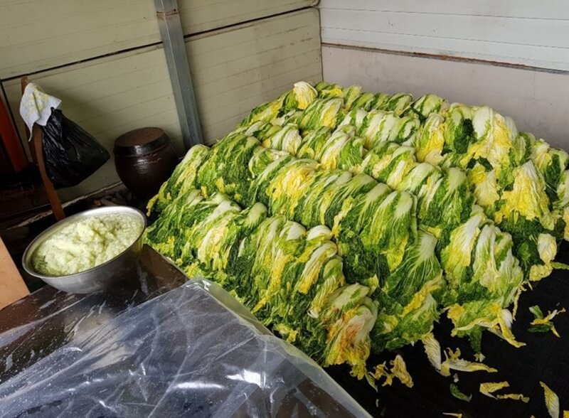 한켠에-겹겹이-쌓여있는-절임배추