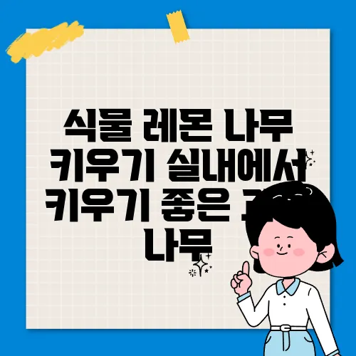 식물 레몬 나무 키우기 실내에서 키우기 좋은 과실 나무