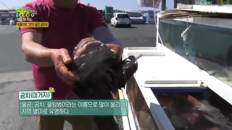 식객 허영만 백반기행 60년 노포 문희경 편 곰치국 문어볶음 장치조림 울진 맛집 소개