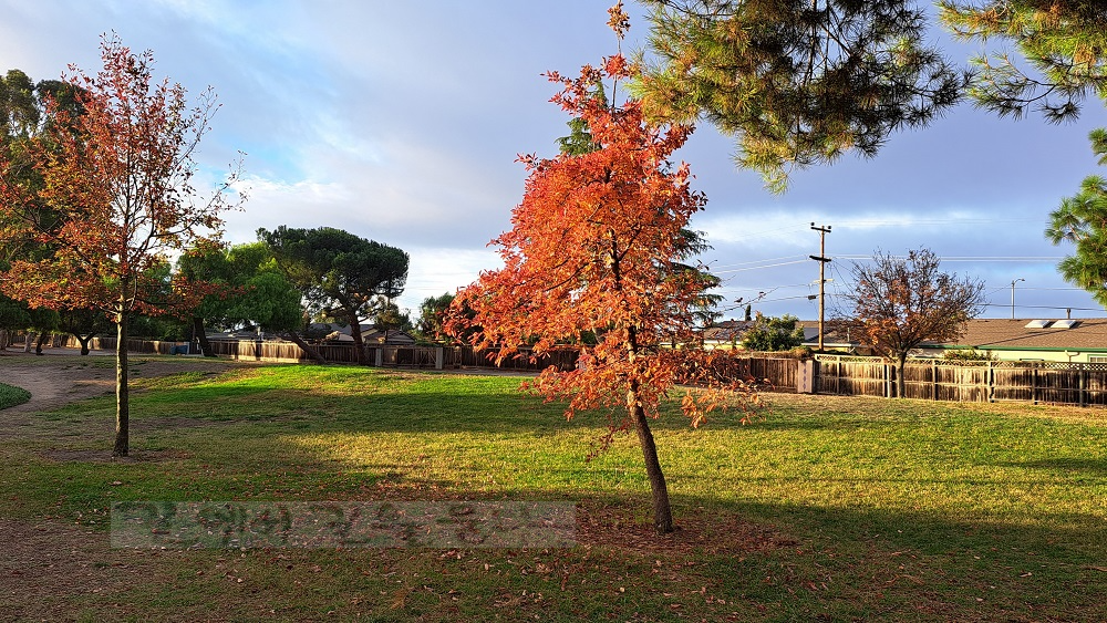 어제 걷던 거리