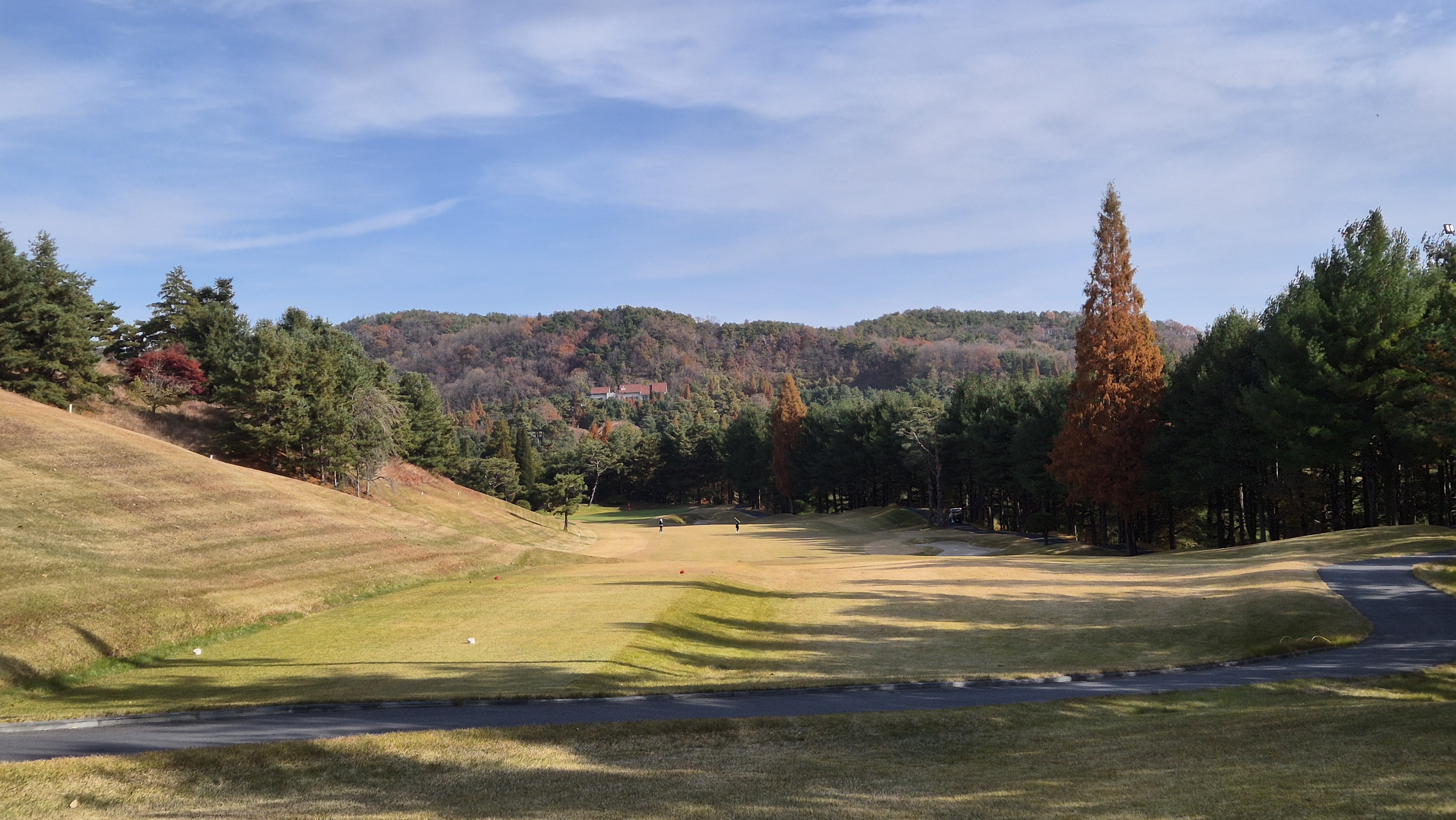 세종에머슨cc 밸리코스 사진 및 공략 정보