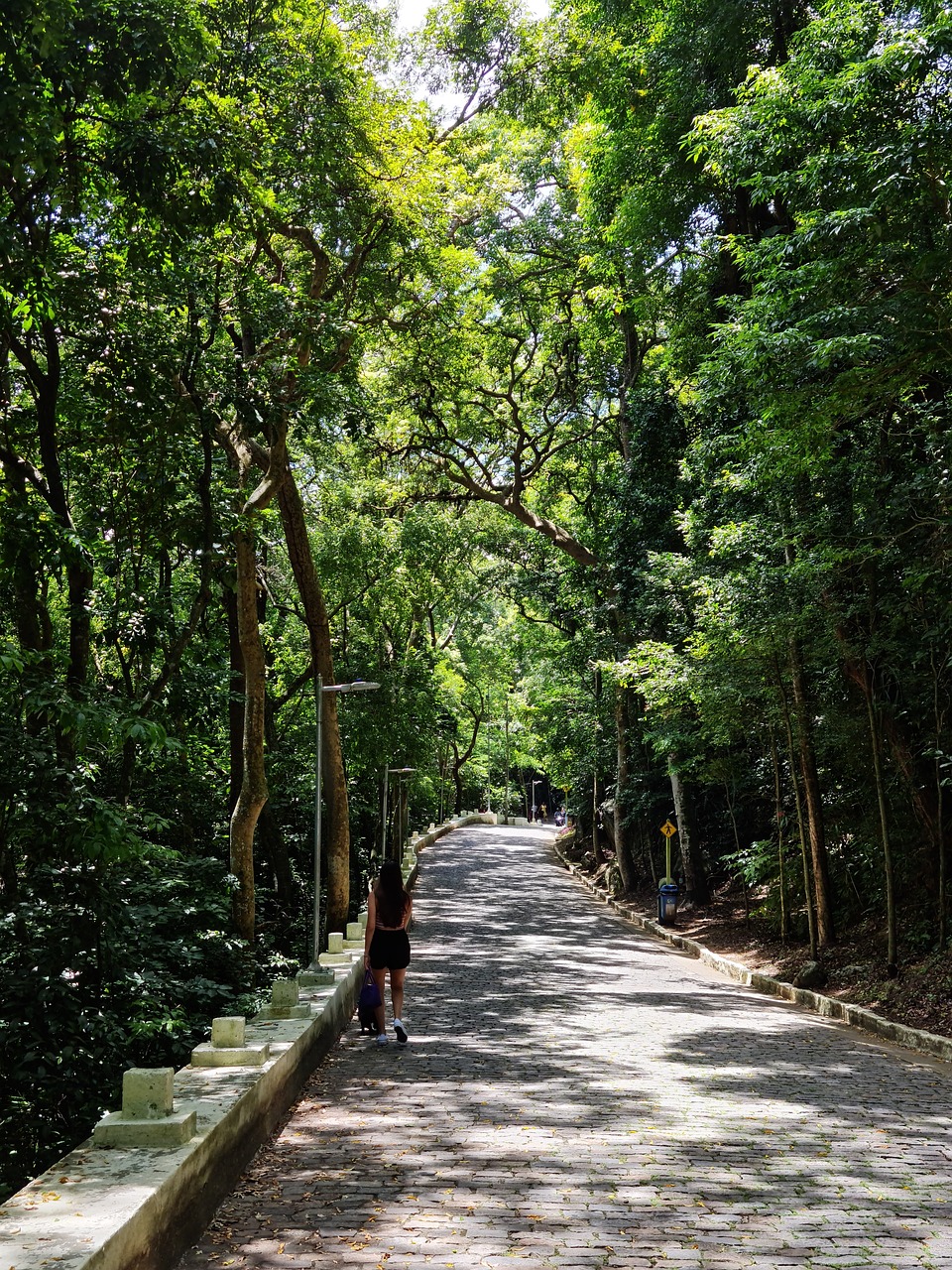 홀로 산책길 관련 사진