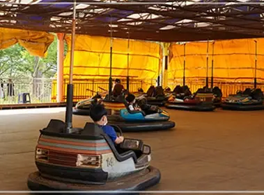 울산-자수정동굴나라-입장료-운영-시간-이용-방법