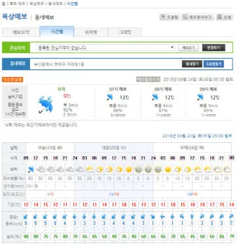 동네 예보 초단기 강수 돌발 소나기 대비 이동 팁_4