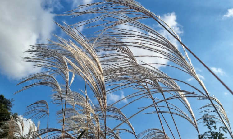 파주 율곡수목원