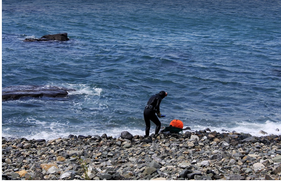 제주 해녀 사진