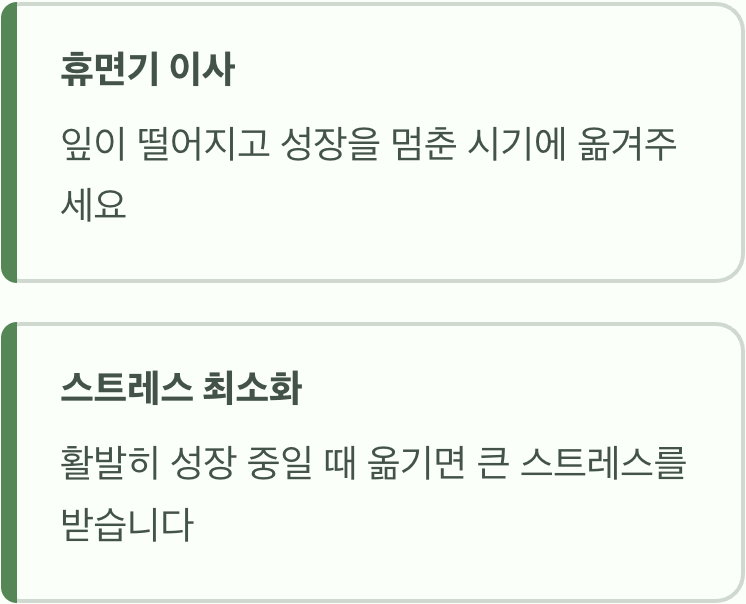 장미는 잠잘 때 이사하는 것을 좋아해요