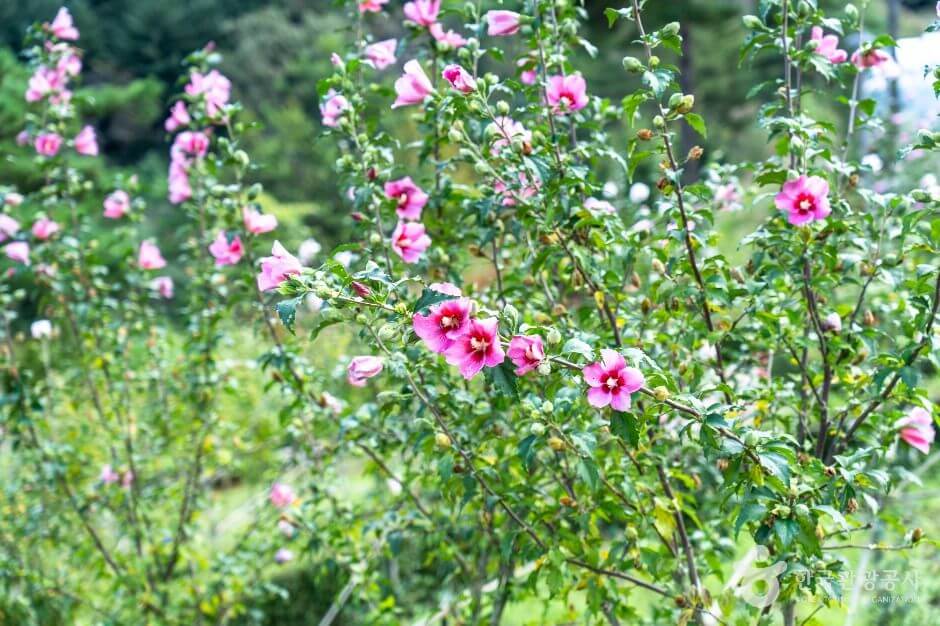보령 가볼만한곳 베스트 10