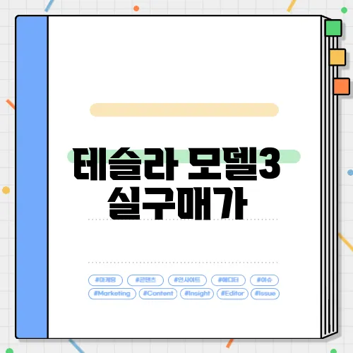 테슬라 모델3 실구매가