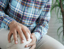 무릅 건강 관절 건강 콘드로이친