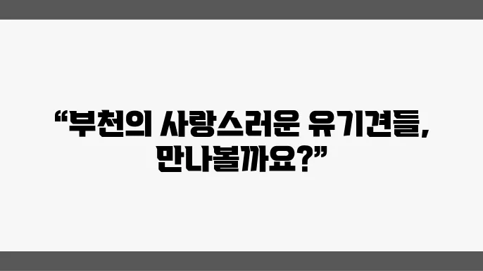 부짅유기쫄보호소 이런곳에서 만나보세요