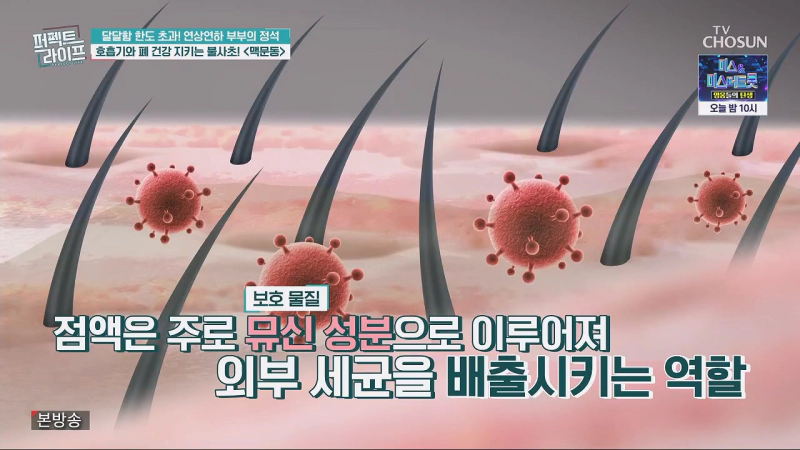 호흡기 및 폐건강에 좋은 백문동