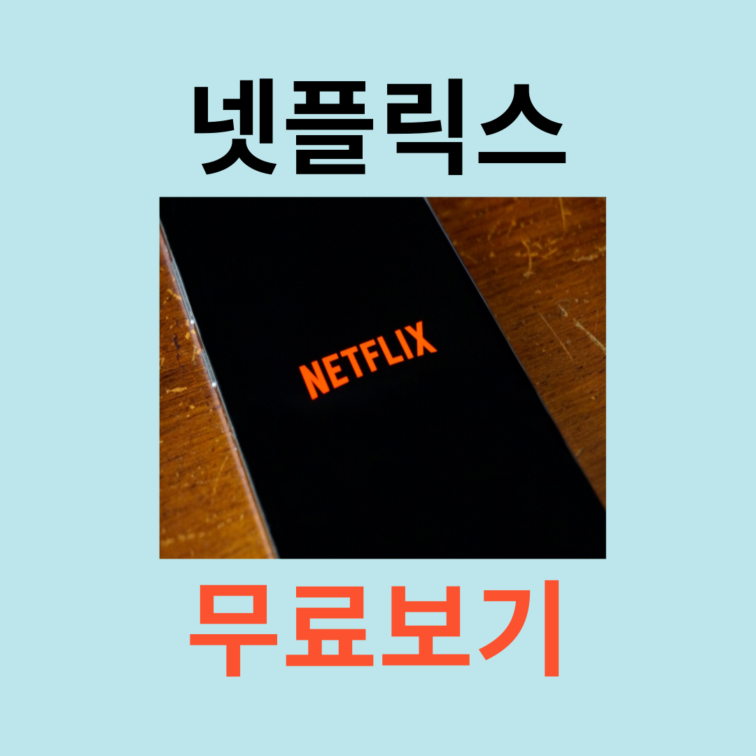 넷플릭스 무료시청방법 요금제 다운로드 계정공유