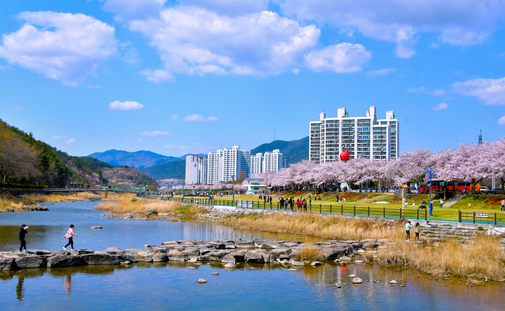 광양매화축제 주차안내
