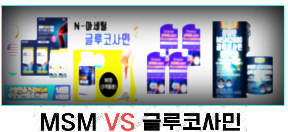 MSM vs 글루코사민