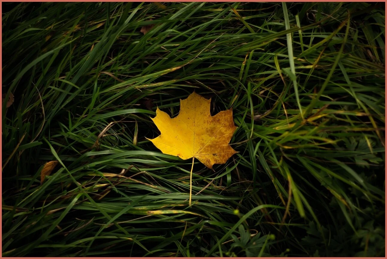 정기예금 금리 가장 높은곳