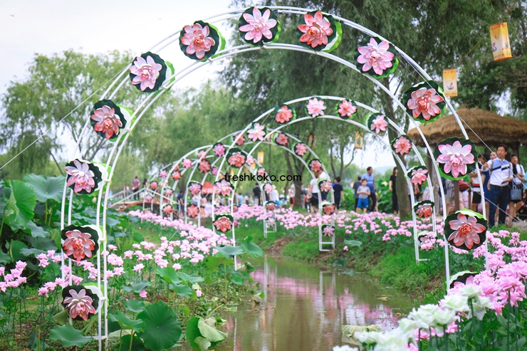 7월 축제 가볼만한곳 10곳 여행지 추천