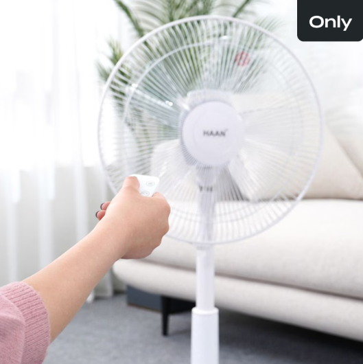 선풍기 추천, 여름 선풍기, 무선 선풍기, 자바라 선풍기, 아기 선풍기, 날개 없는 선풍기, 워셔블 선풍기, 발터치 선풍기, 클립형 선풍기, 유모차 선풍기, 아기 바람 선풍기, 선풍기 세척 쉬운 제품, 선풍기 청소 간편한, 저소음 선풍기, 육아템 선풍기, 침대 선풍기, 책상용 선풍기, 화장실 선풍기, 여름 가전 추천, 2025 선풍기 추천