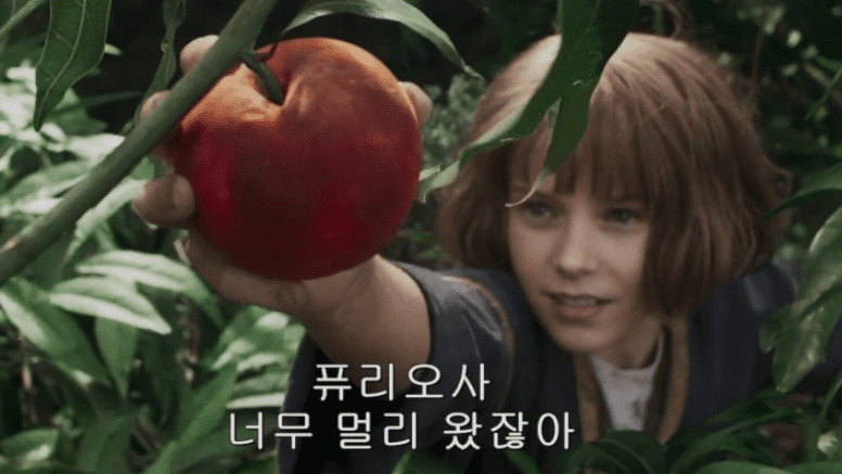 퓨리오사 매드맥스 사가 아역배우 알릴라 브라운