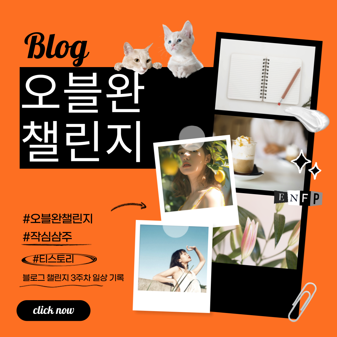 티스토리 블로그 오블완 챌린지 작심삼주