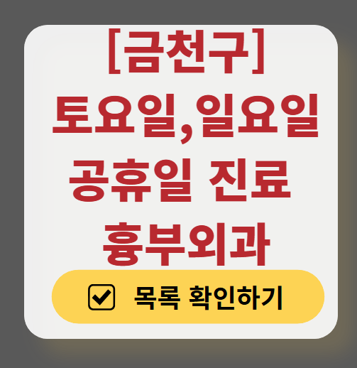 금천구 주말 토요일 일요일 흉부외과 진료 병원 목록 ❘ 공휴일 진료 영업 병원 리스트 찾기