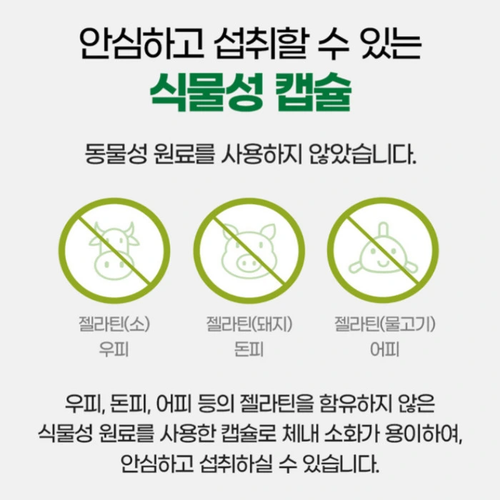 바디톡 체다컷 내돈내산 후기 부작용 성분 효능 복용법 가격