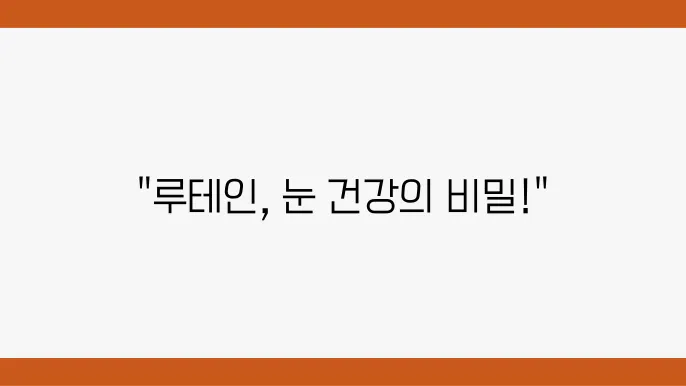루테인 효능과 주의사항