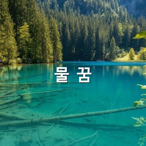 녹음이-우거진-산중에-바닥까지-훤히-보이는-깨끗한-호수