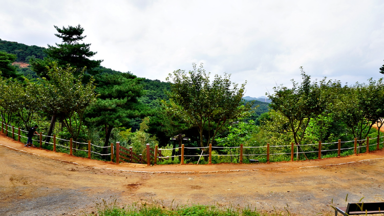 당진 삼선산수목원