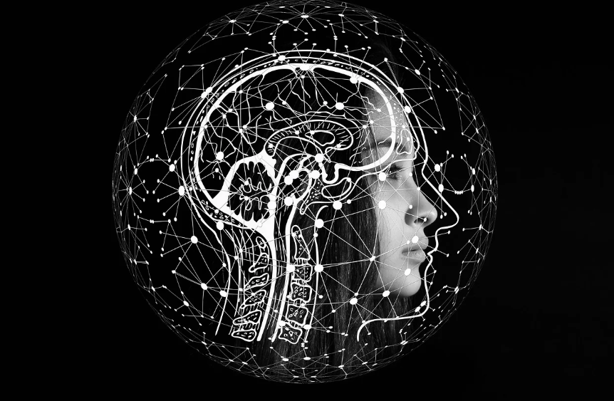 "뇌의 신경망과 연결 구조를 시각화한 이미지 위에 여성의 얼굴이 겹쳐진 모습, 뇌과학 기반의 습관 형성을 상징"