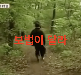 보법이 달라
