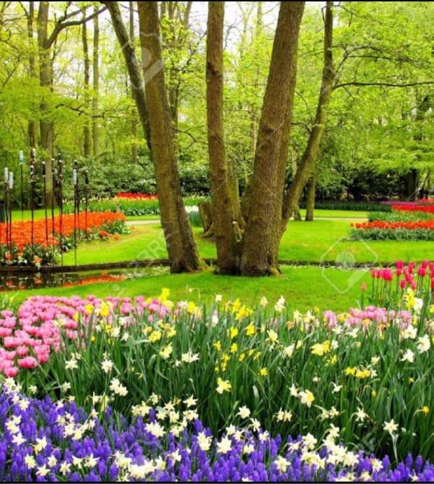 꽃과 나무가 예쁜 사진