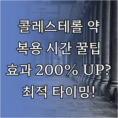 콜레스테롤 약 단기 장기 작용별 최적..