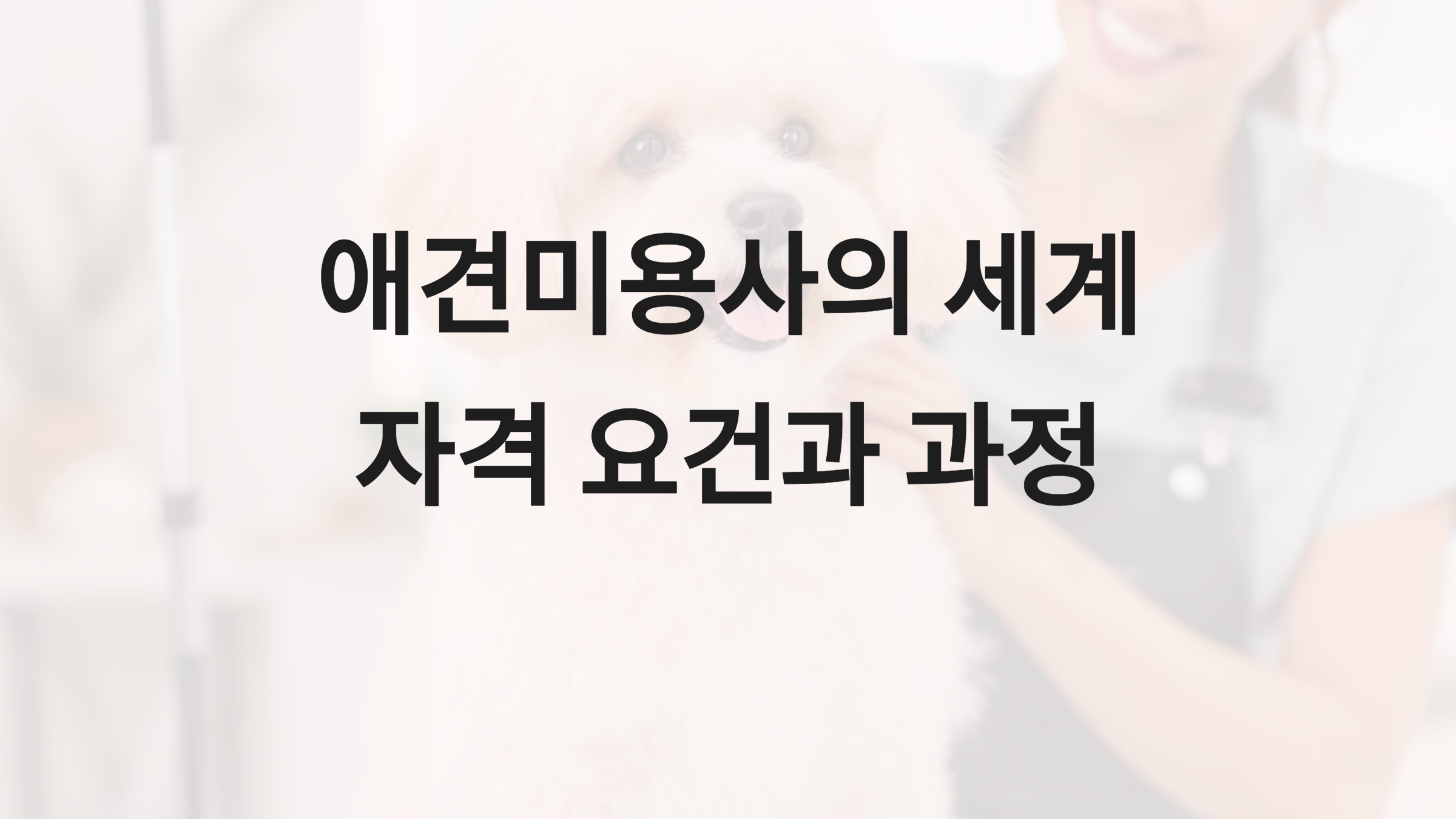 애견미용사의 급여와 근무환경