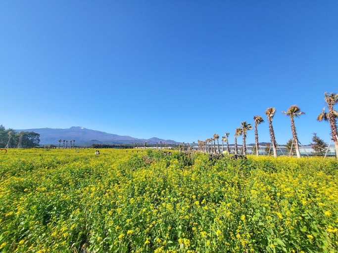 제주도 가볼 만한 곳 10곳