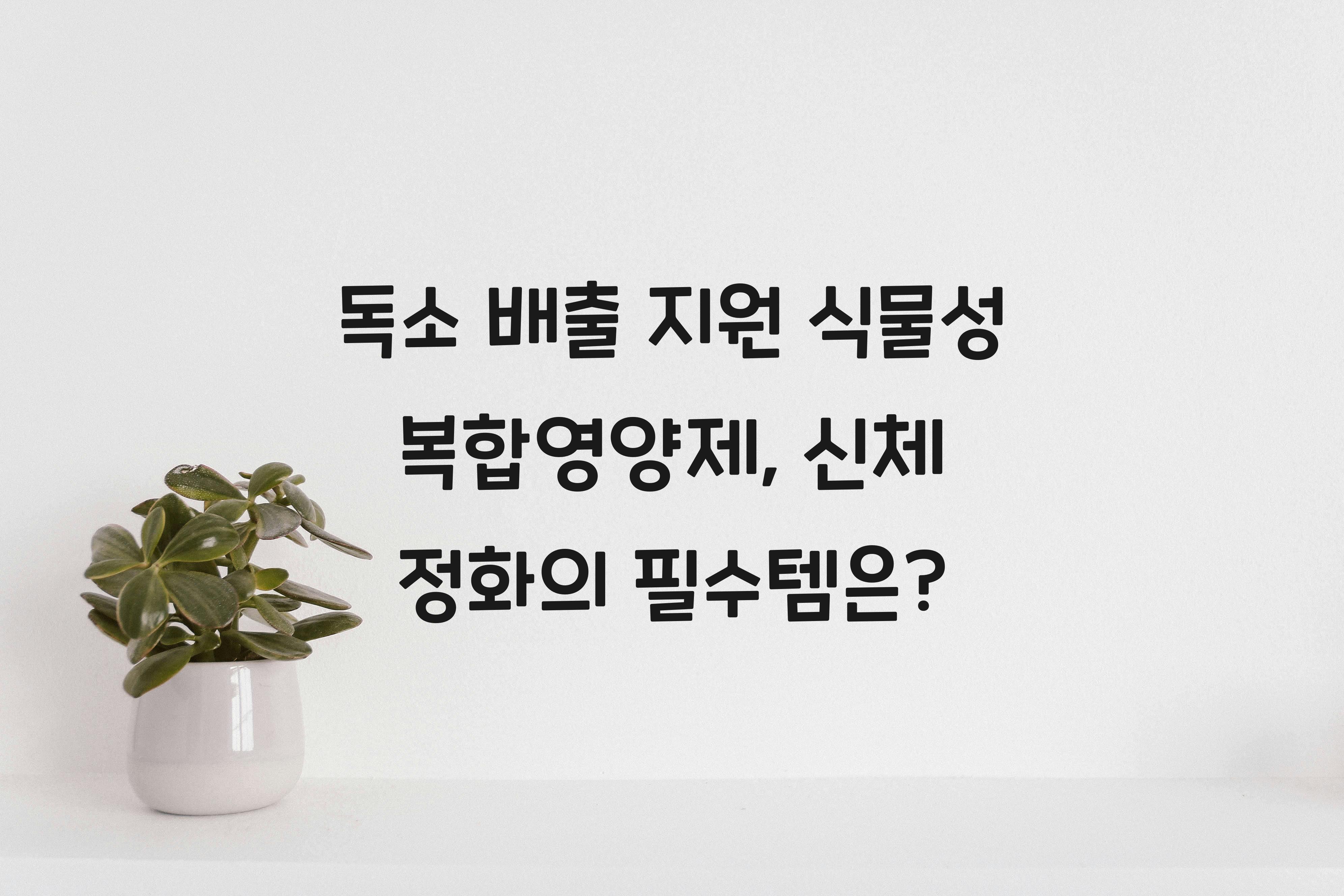 독소 배출 지원 식물성 복합영양제