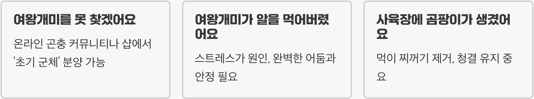 실패 없는 개미 키우기 A to Z (여왕개미 채집, 사육장, 먹이)