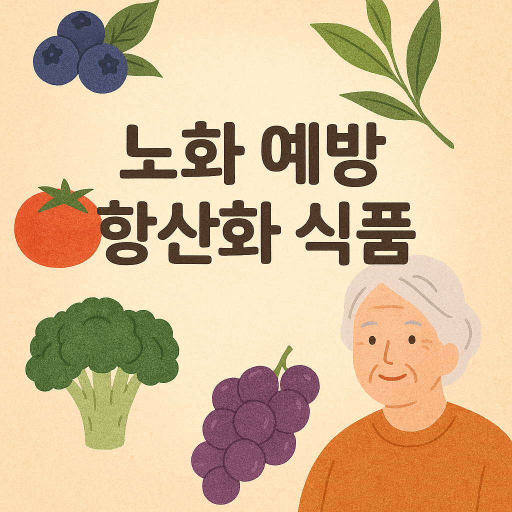 노화 예방에 좋은 항산화 식품