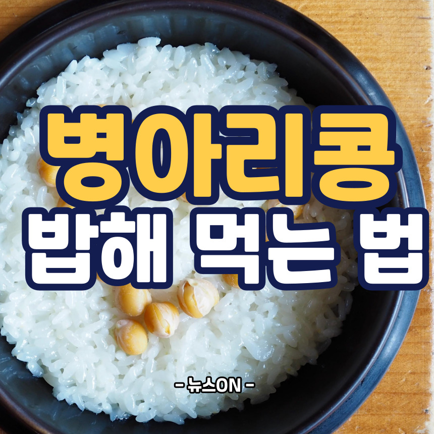 병아리콩 밥해 먹는 방법
