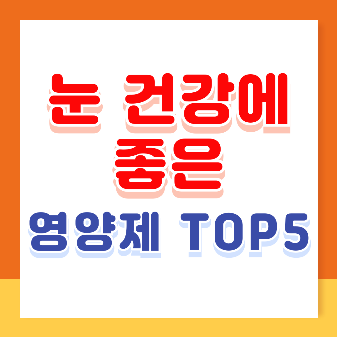 눈 건강에 좋은 영양제 필수 영양제 TOP 5