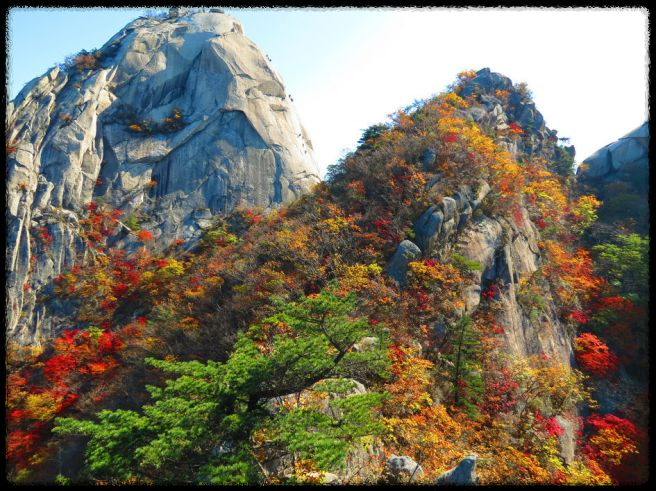 2024 가을&amp;#44; 국내 단풍 명소 추천: 절정 시기와 여행 팁까지 완벽 가이드