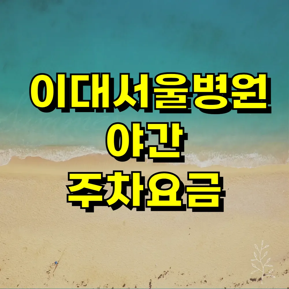 이대서울병원 야간 주차요금