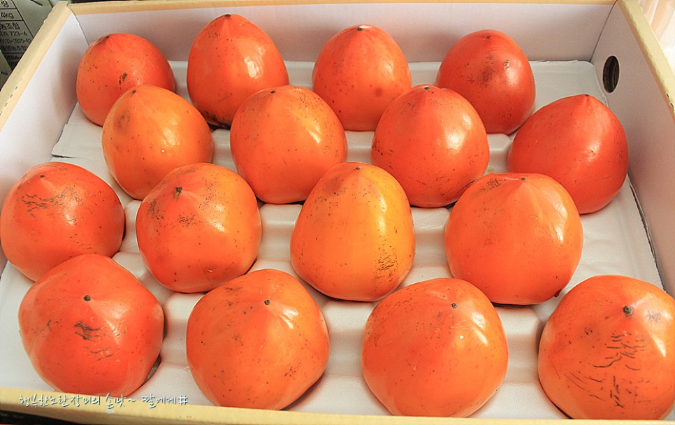 대봉감 홍시 만드는법